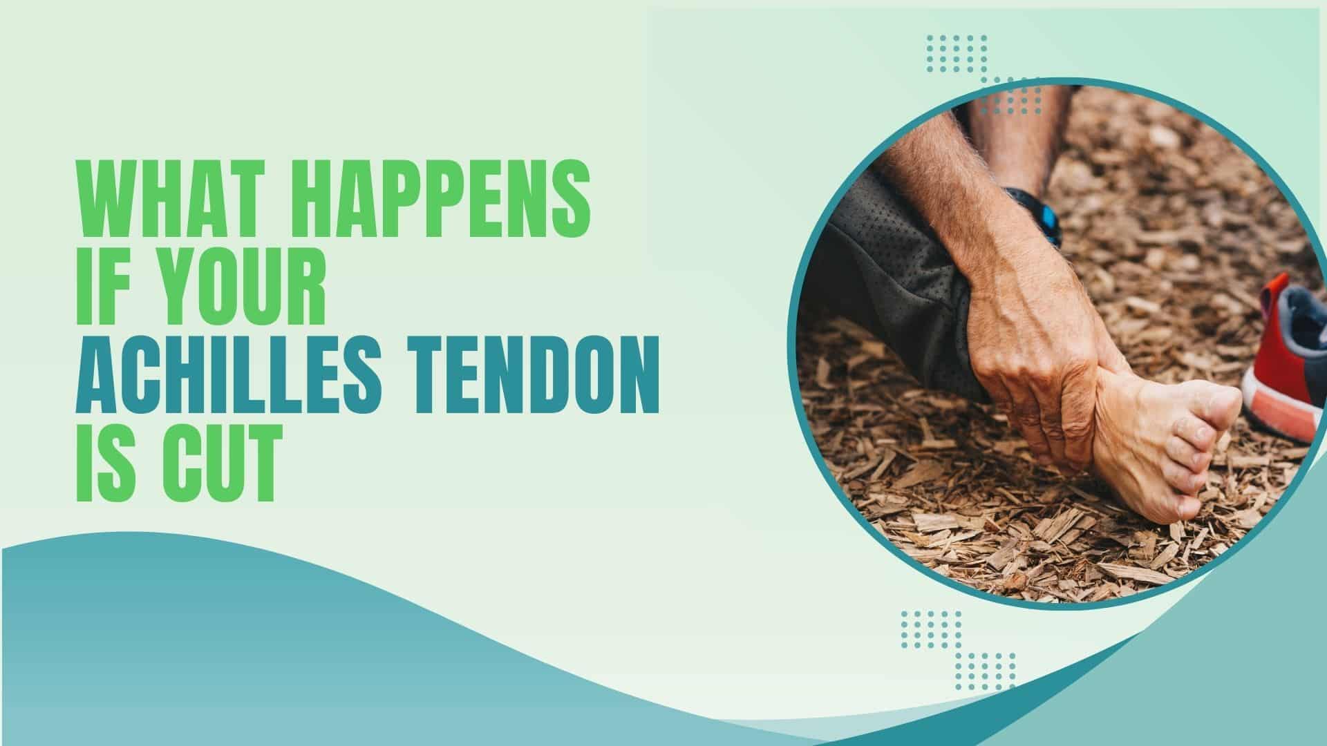 What Happens If Achilles Tendon Is Cut?